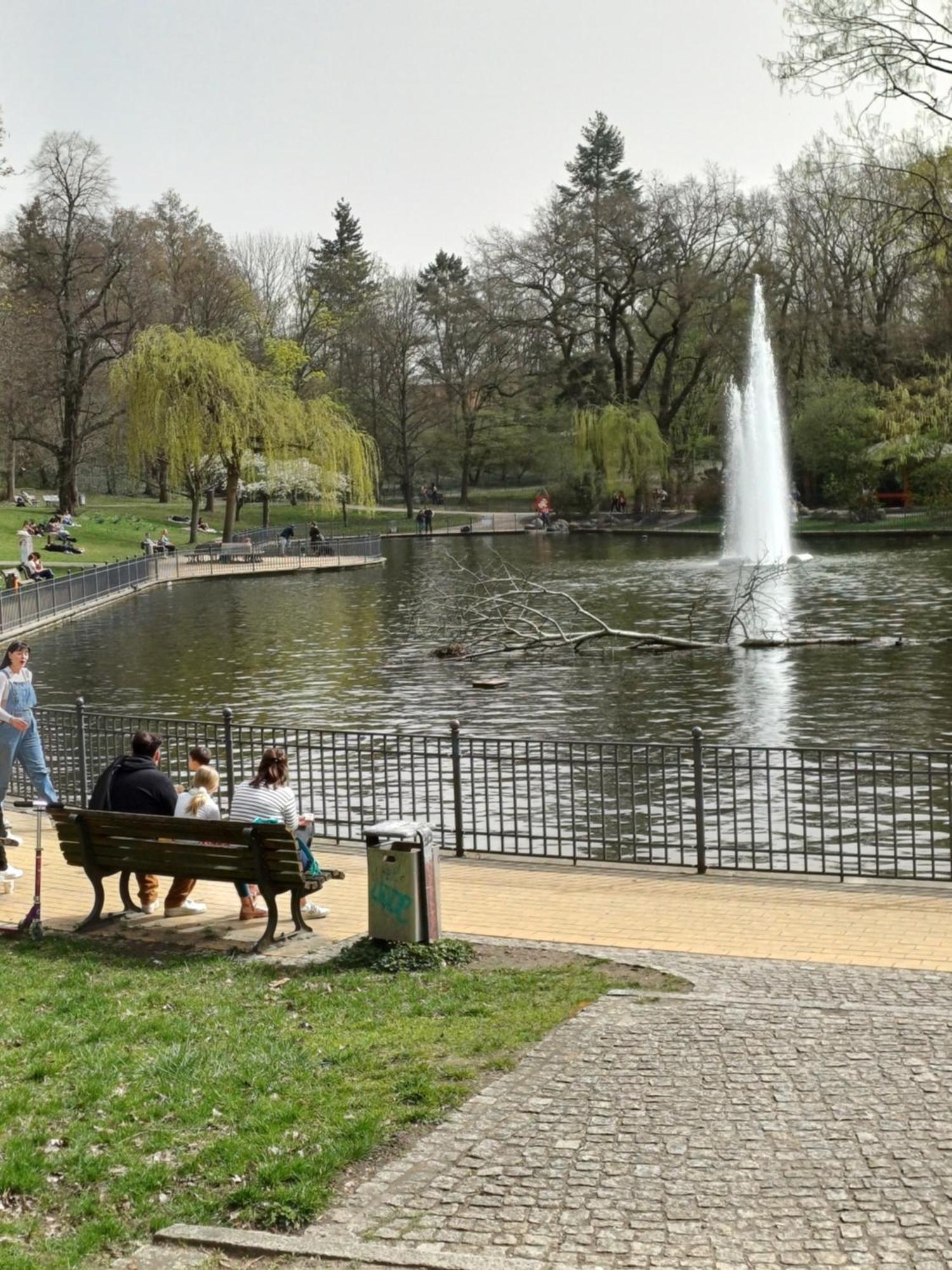 Suite Park & City Alex 4 Rooms 2 Bathrooms 2 Kitchen Berlin Luaran gambar
